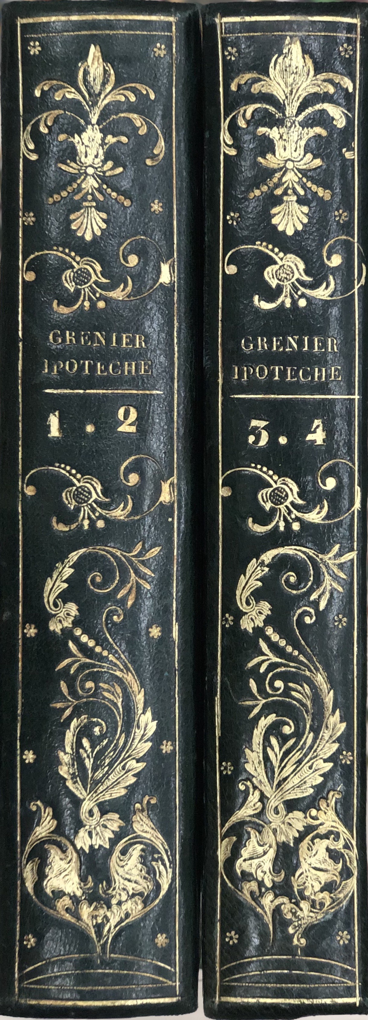 Trattato delle ipoteche