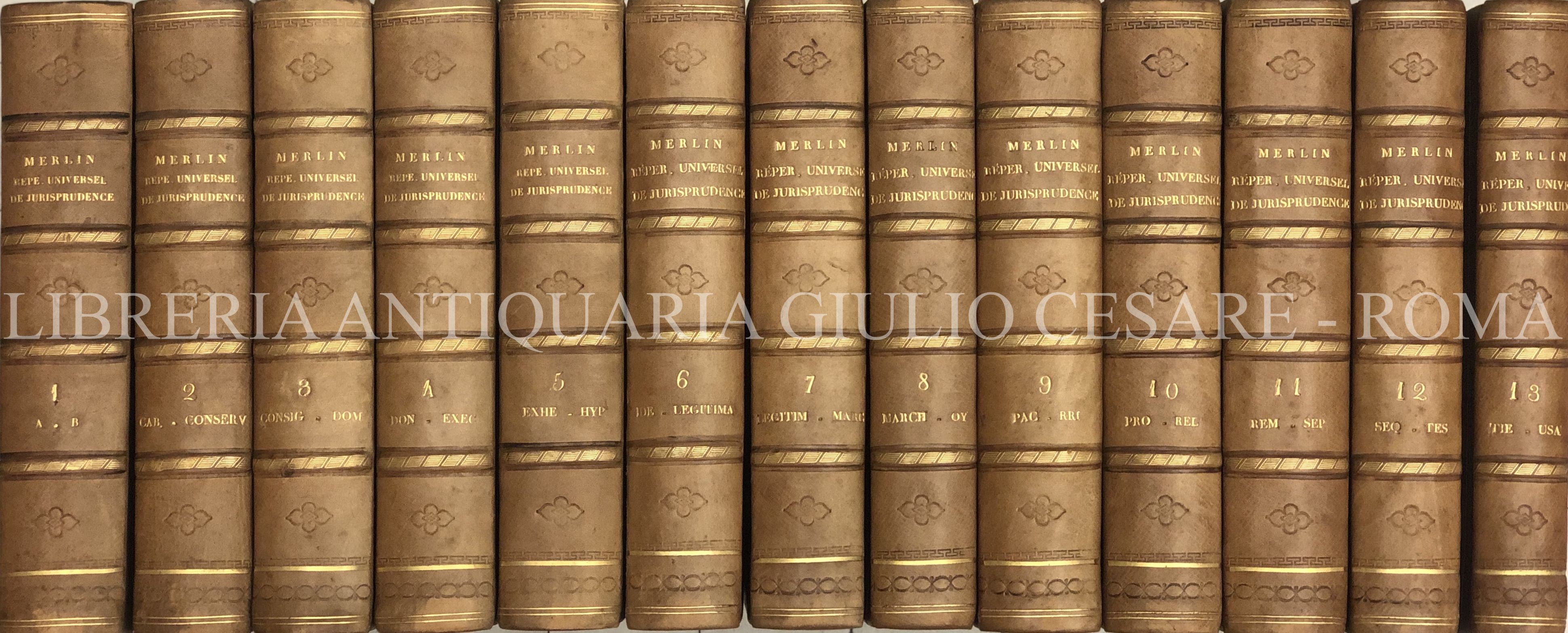 Repertoire universel et raisonne de jurisprudence