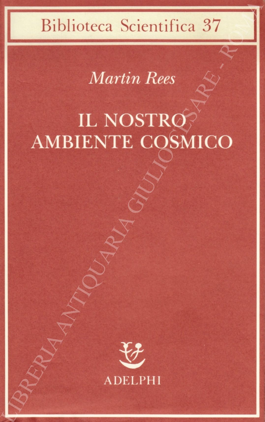 Il nostro ambiente cosmico