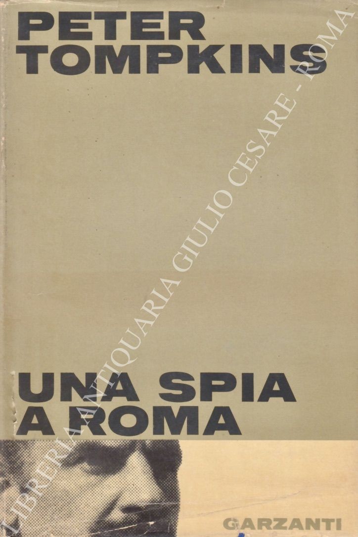 Una spia a Roma 