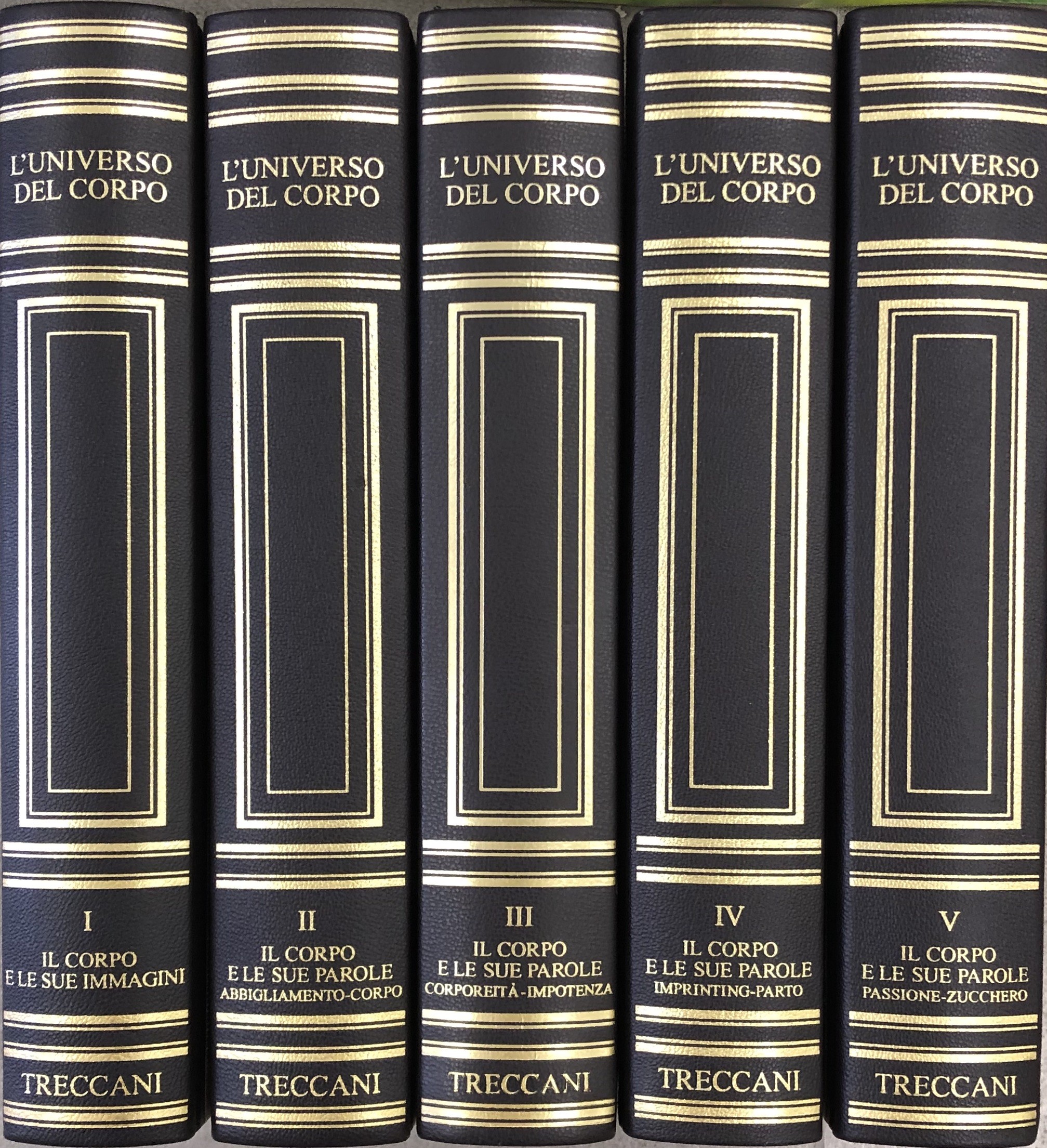 L'universo del corpo