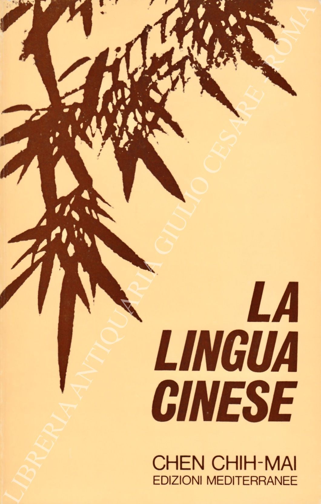 La lingua cinese