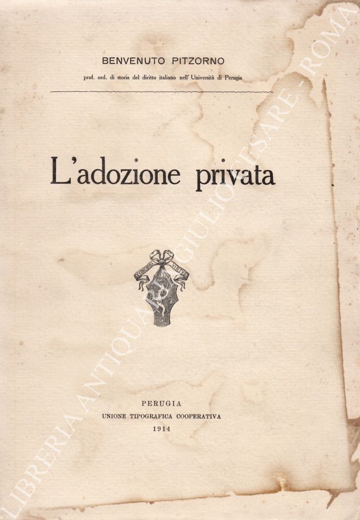 L'adozione privata