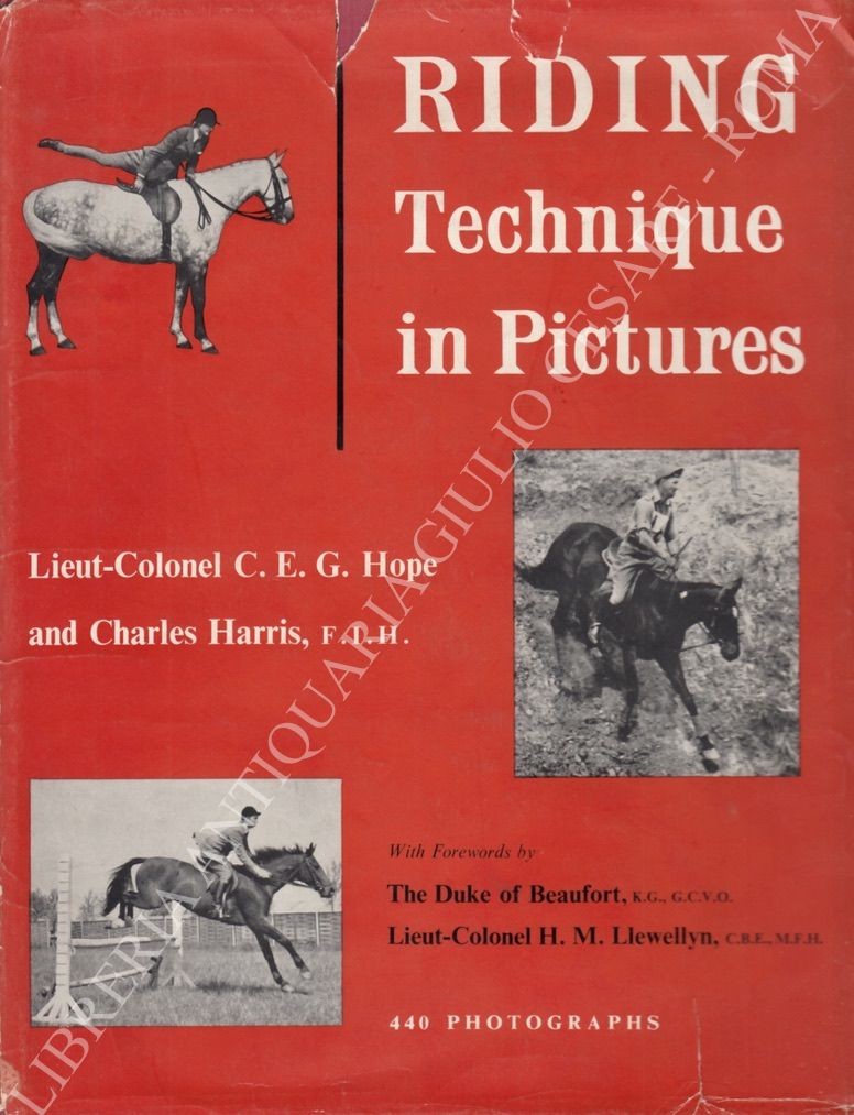 Riding technique in pictures