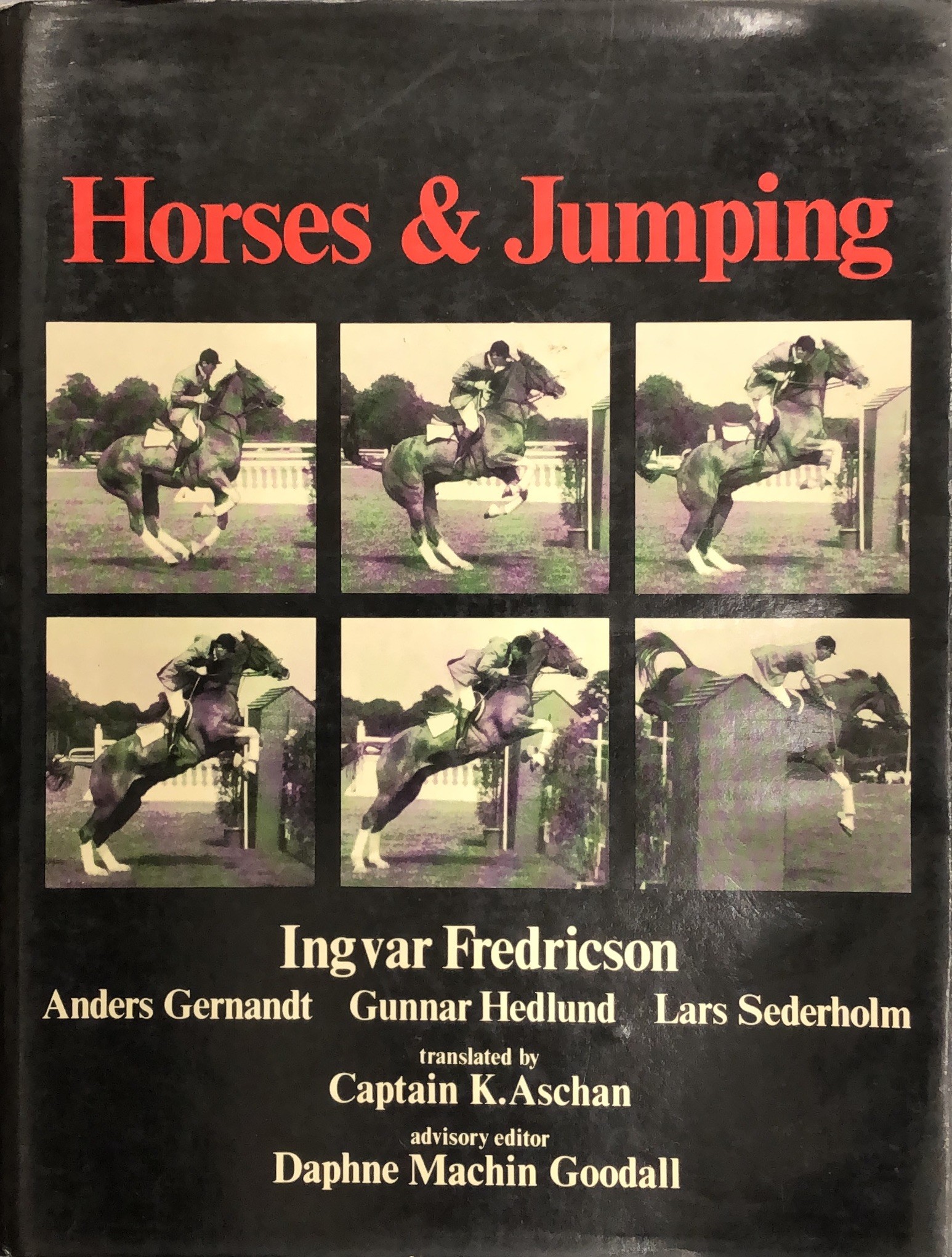 Horses & jumping