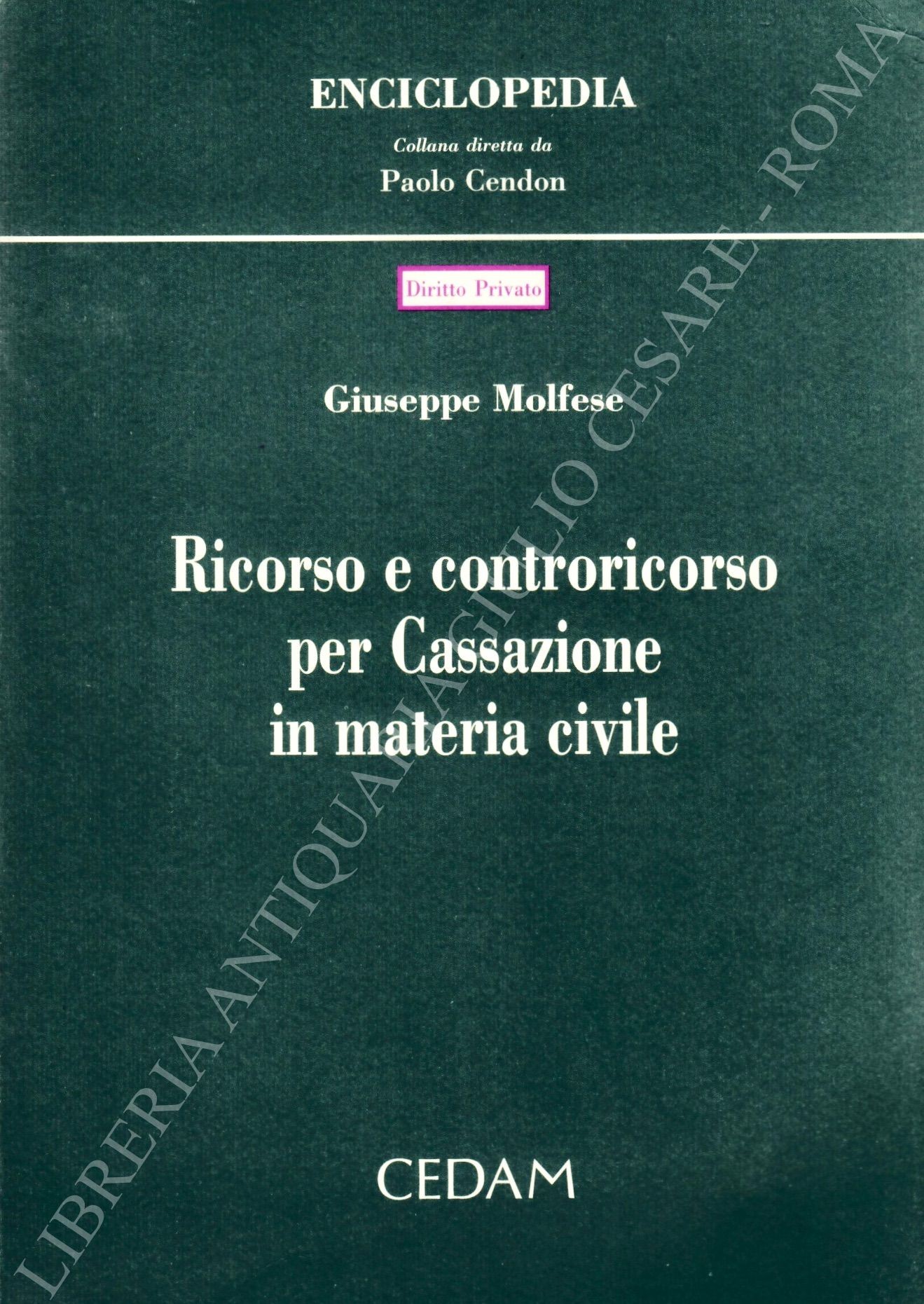 Ricorso e controricorso