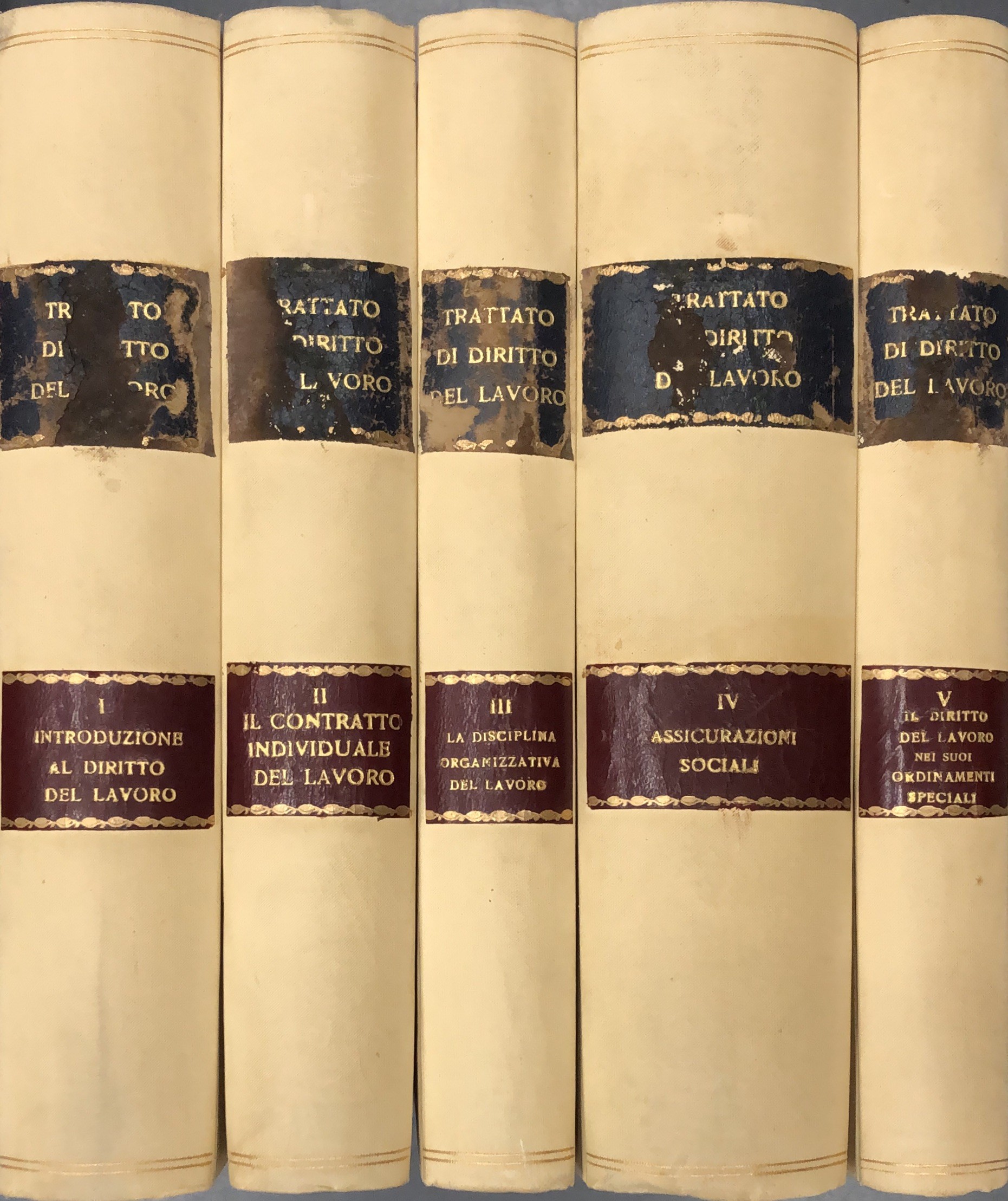 Trattato di diritto del lavoro