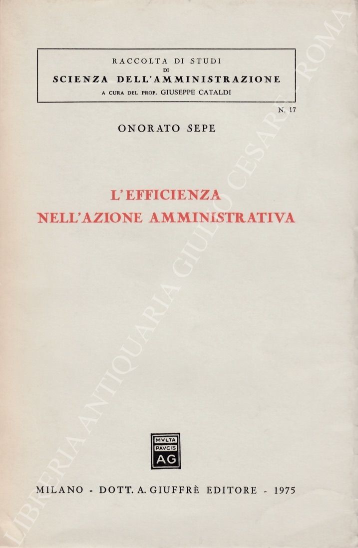 L'efficienza nell'azione amministrativa