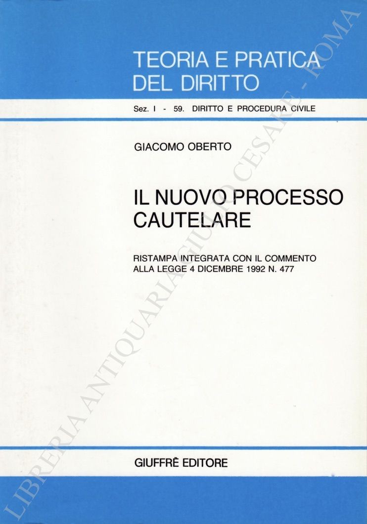 Il nuovo processo cautelare