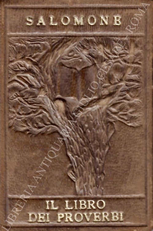 Il libro dei proverbi