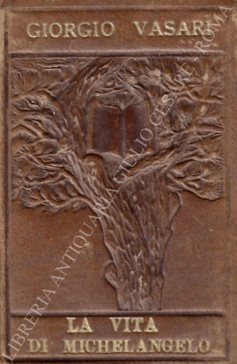 La vita di Michelangelo