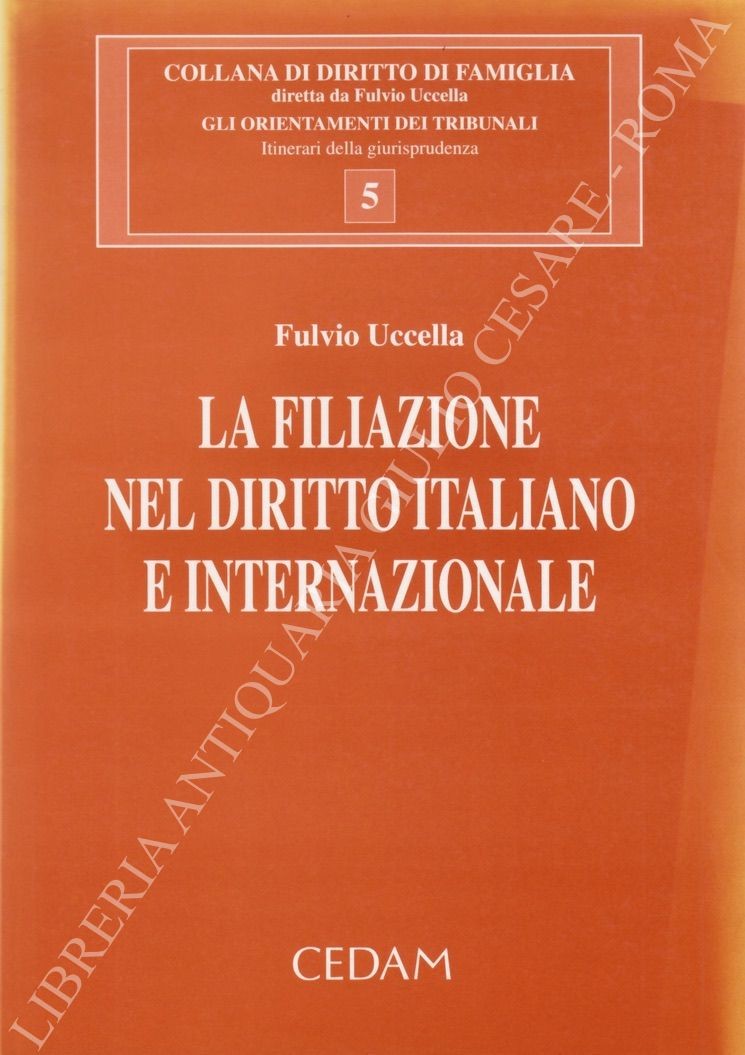 La filiazione nel diritto italiano e internazionale