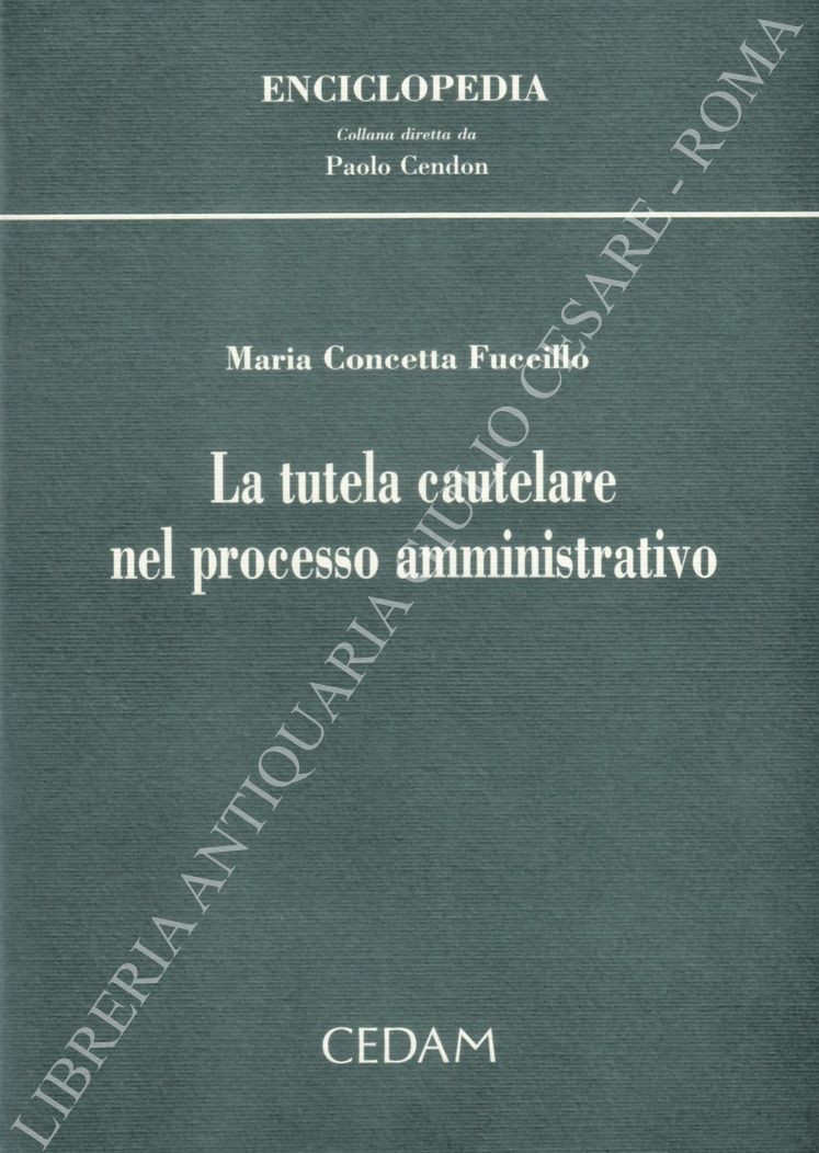 La tutela cautelare nel processo amministrativo