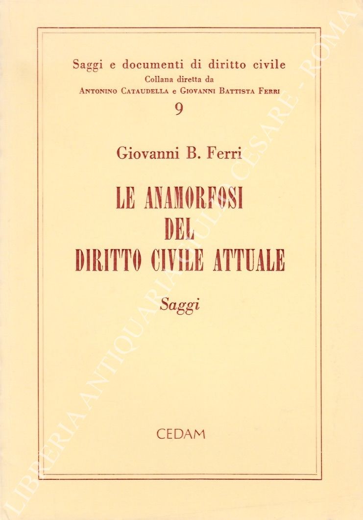 Le anamorfosi del diritto civile attuale
