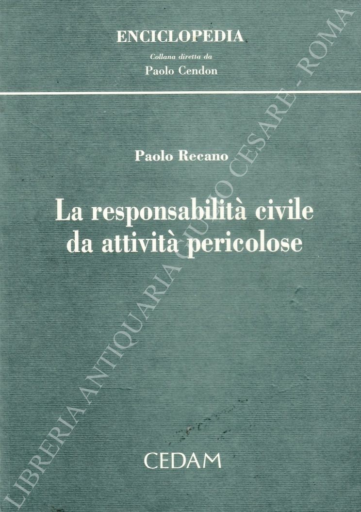 La responsabilità civile da attività pericolose