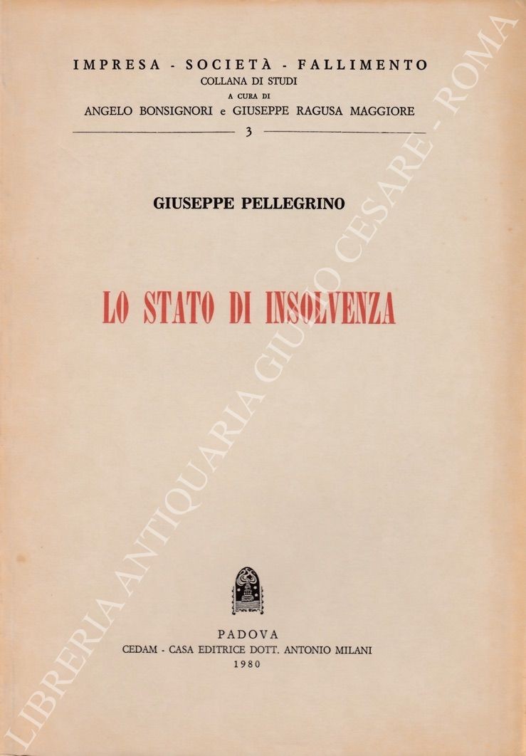 Lo stato di insolvenza