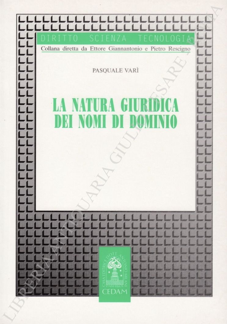 La natura giuridica dei nomi di dominio