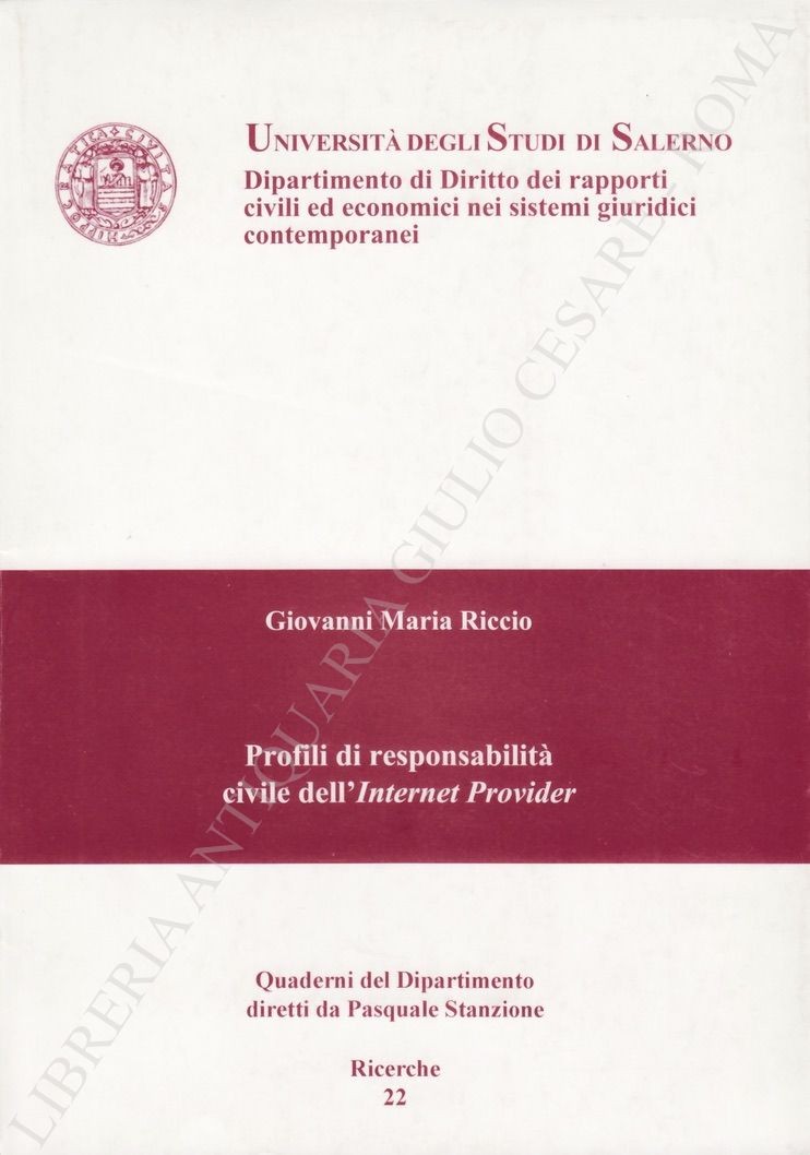 Profili di responsabilità civile dell'Internet Provider