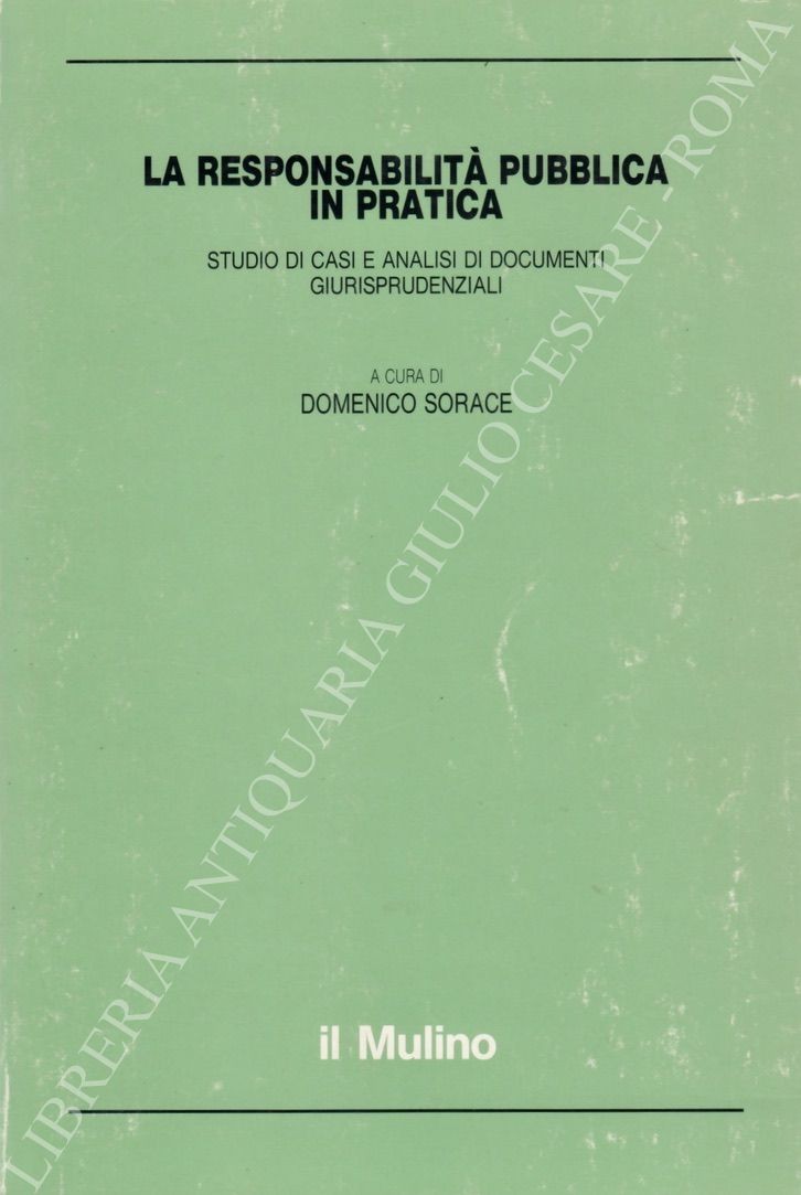La responsabilità pubblica in pratica