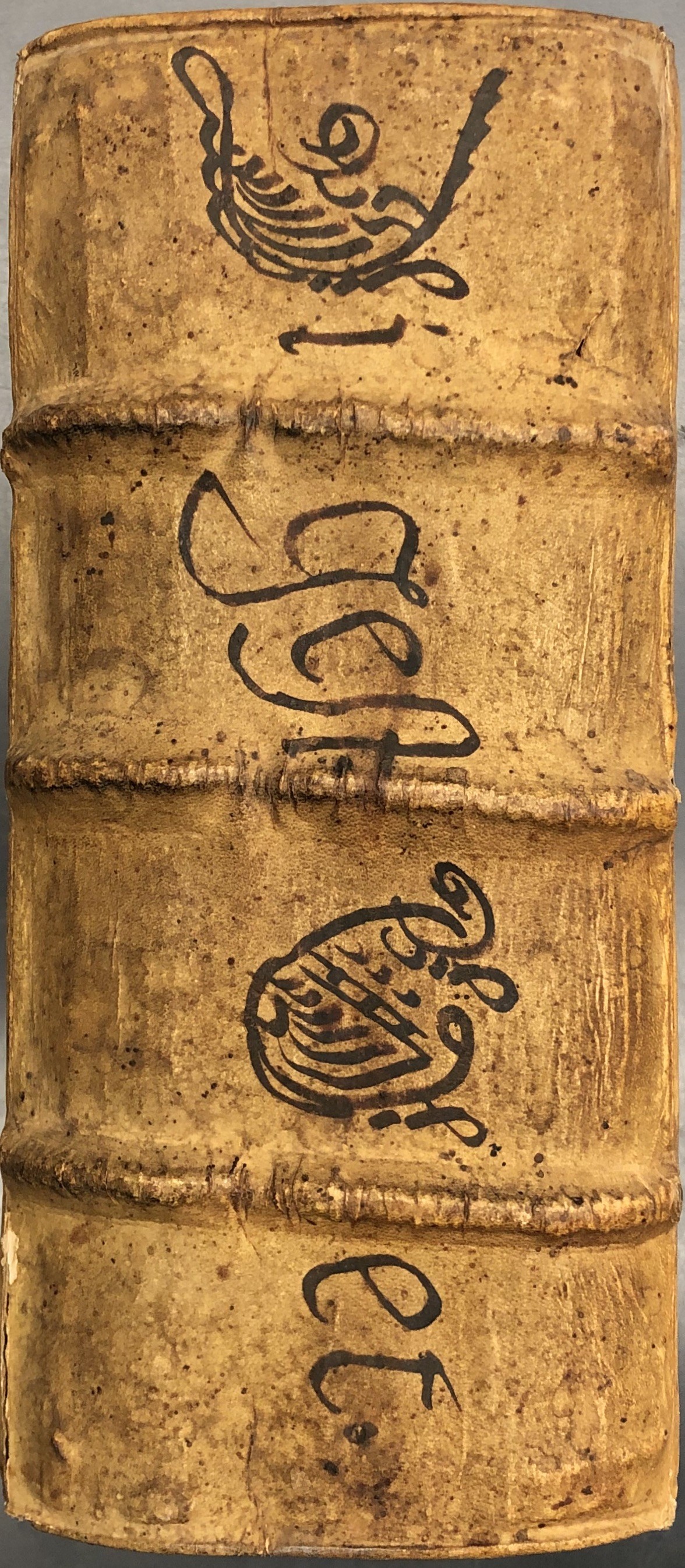 Pandectarum seu digestum vetus