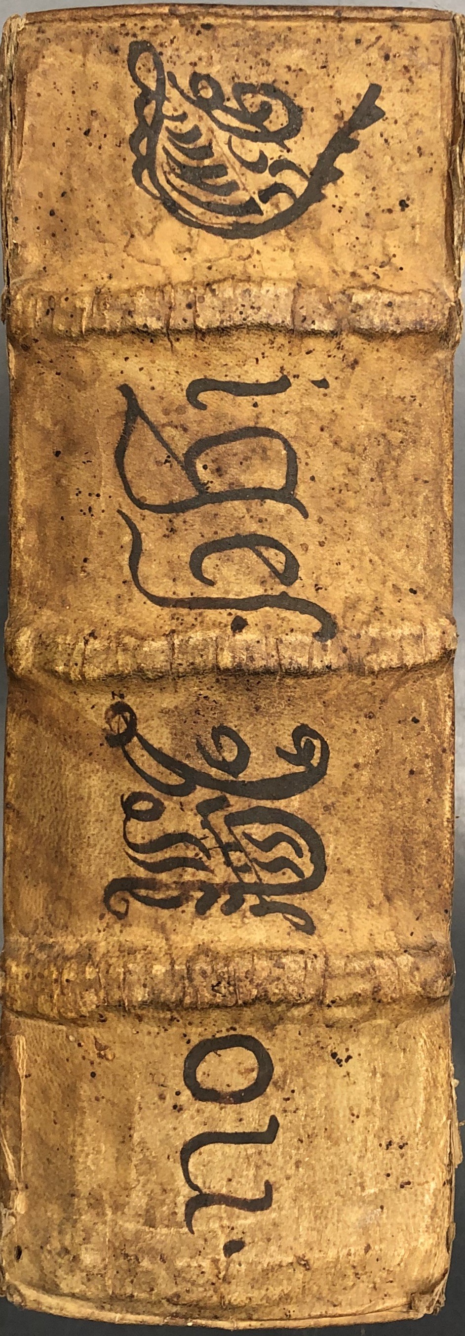 Pandectarum seu Digestorum Iuris Civilis