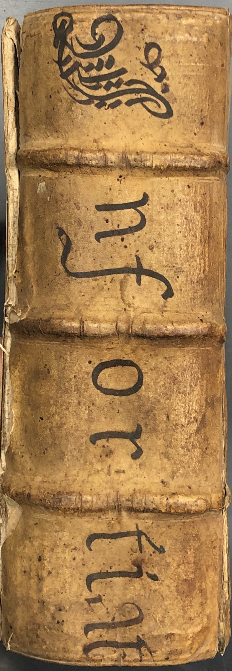 Pandectarum seu Digestorum Iuris Civilis