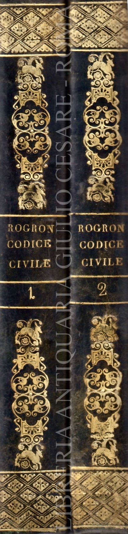 Il codice civile spiegato dai suoi motivi dagli esempi