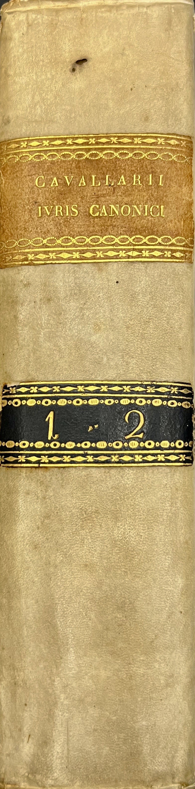 Dominici Cavallarii.. Institutiones Iuris Canonici