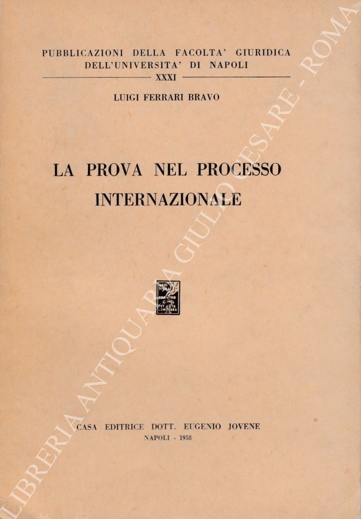 La prova nel processo internazionale