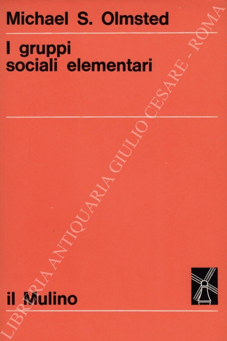 I gruppi sociali elementari