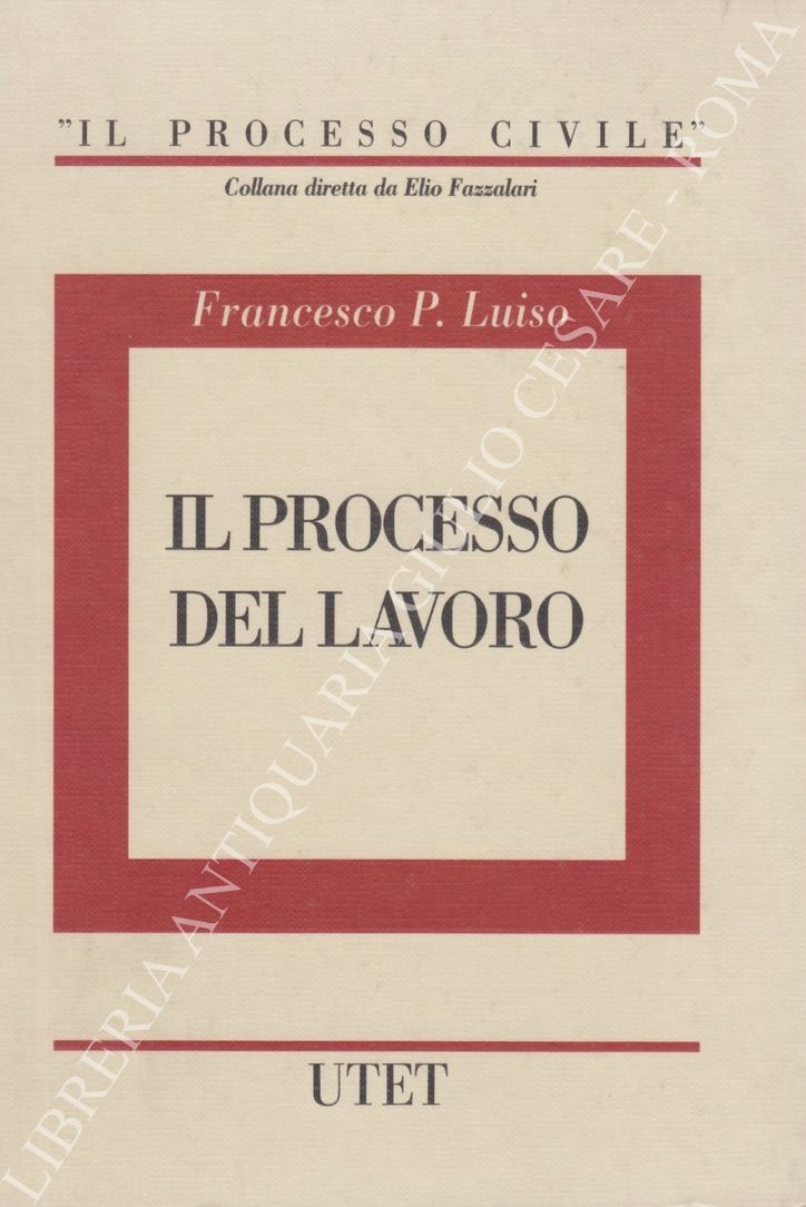 Il processo del lavoro