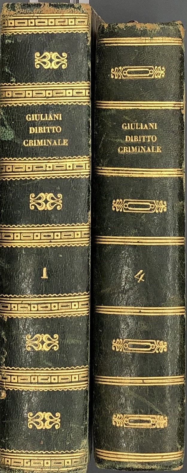 Istituzioni di diritto criminale