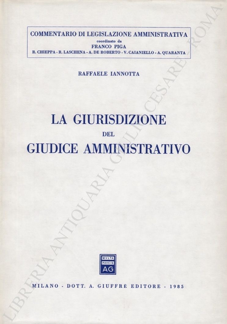 La giurisdizione del giudice amministrativo