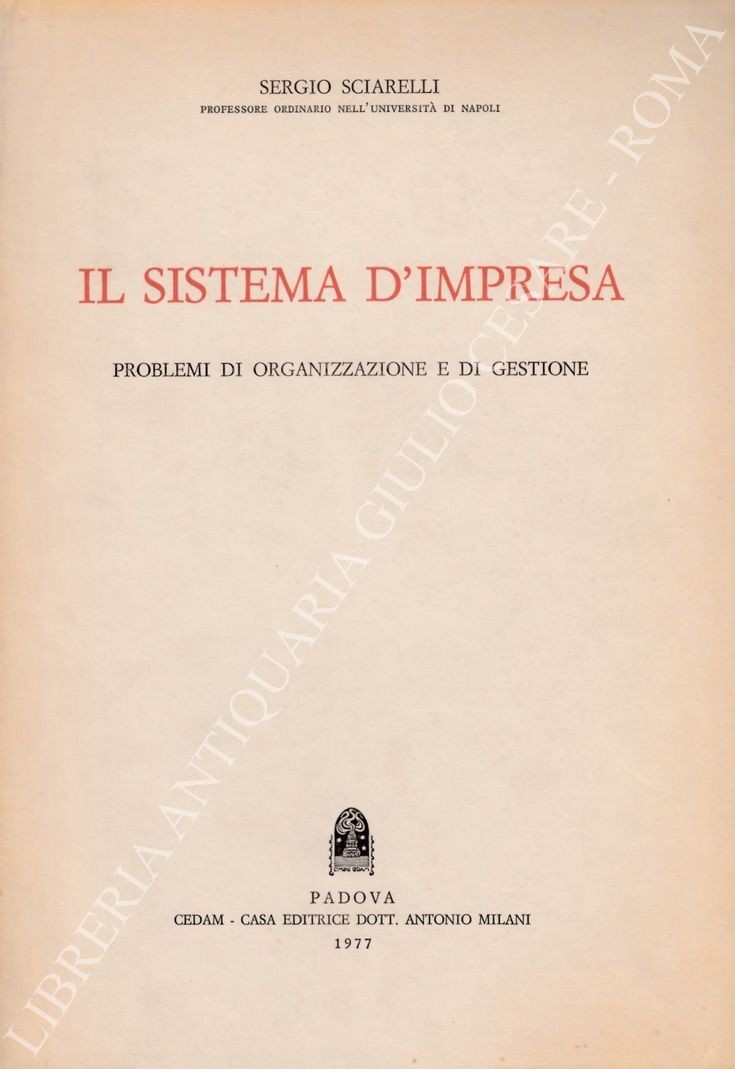 Il sistema d'impresa