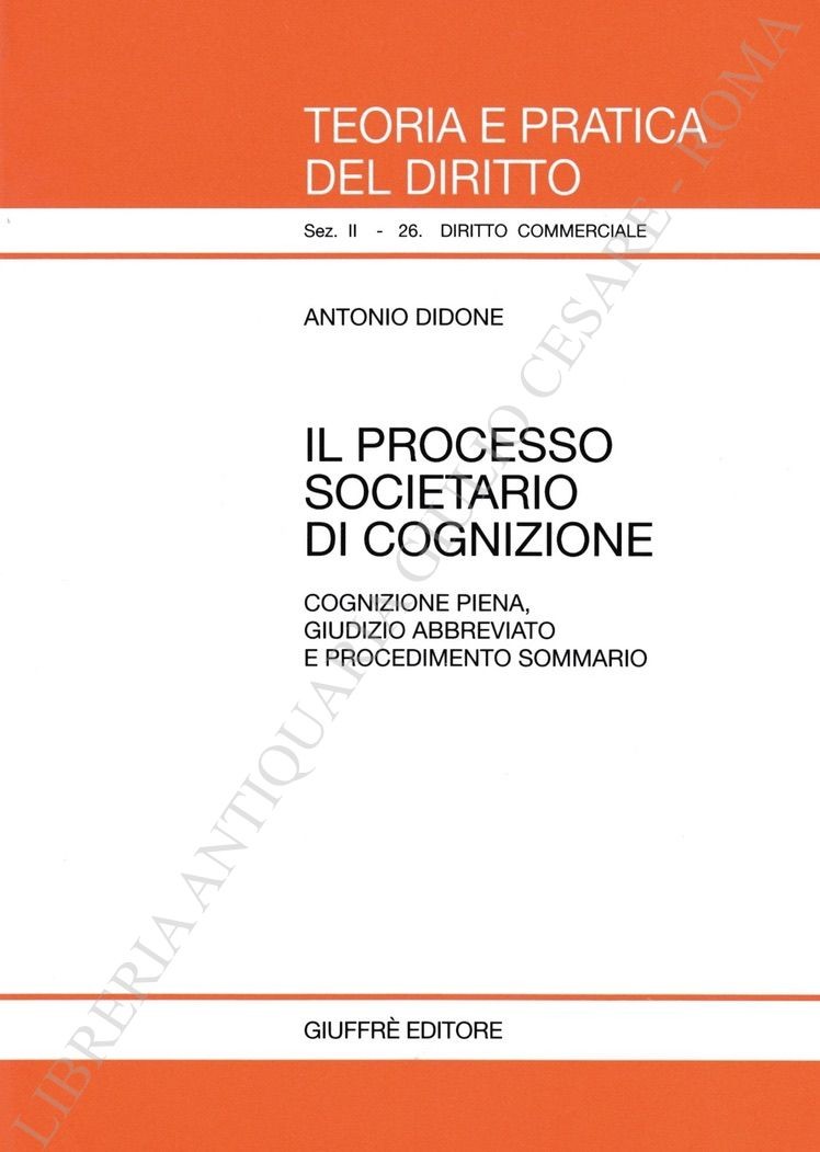 Il processo societario di cognizione