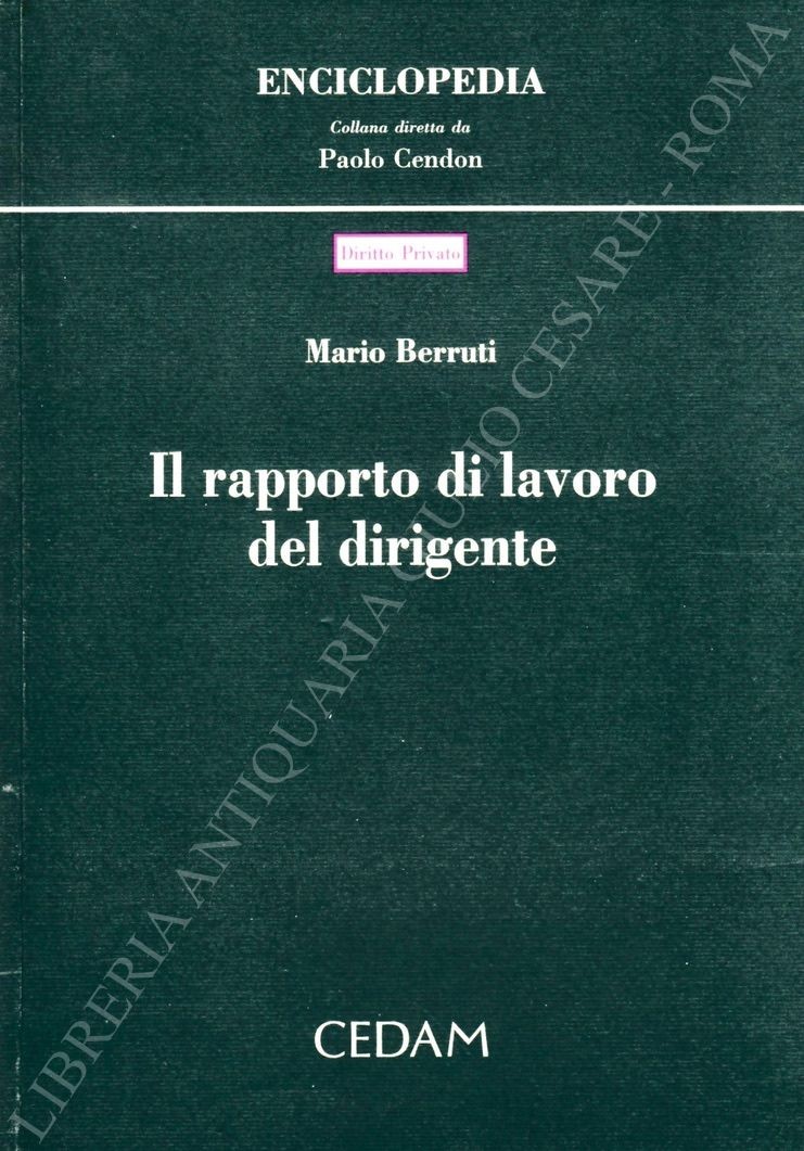 Il rapporto di lavoro del dirigente