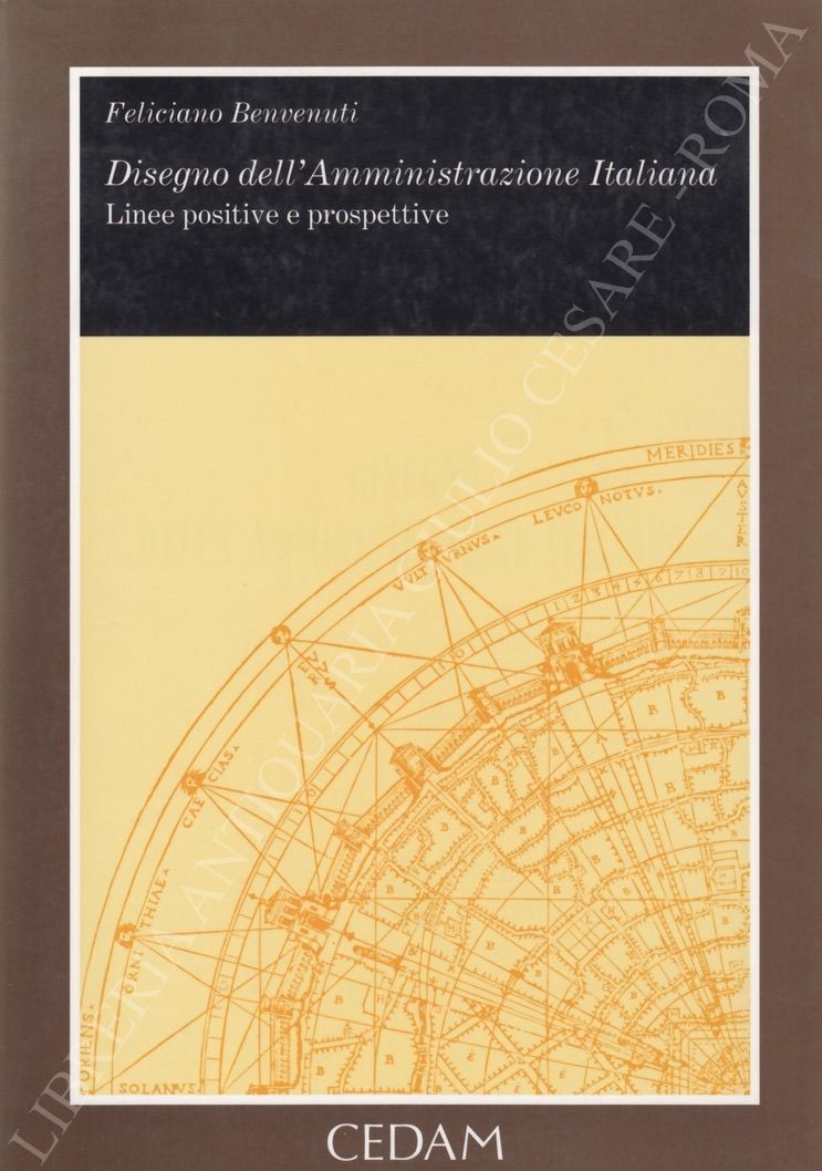 Disegno della amministrazione pubblica italiana