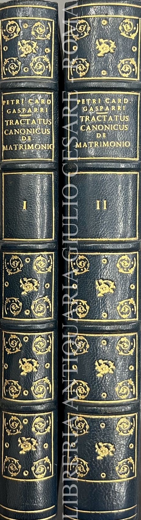 Tractatus canonicus de matrimonio