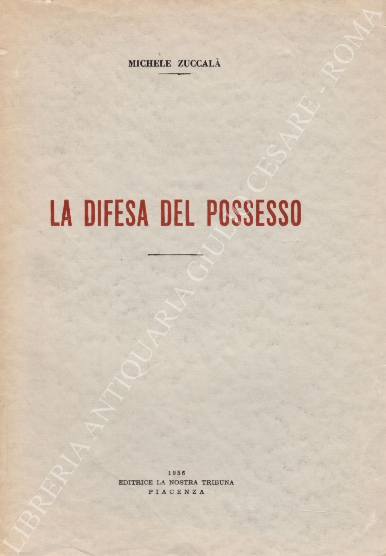 La difesa del possesso
