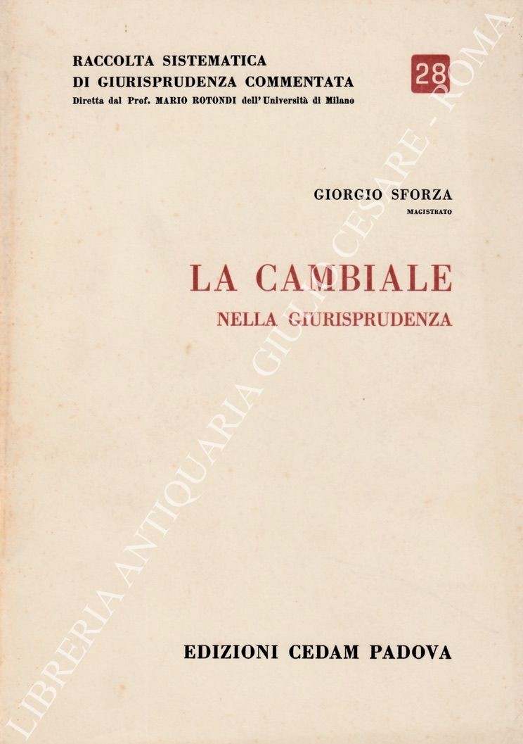 La cambiale nella giurisprudenza