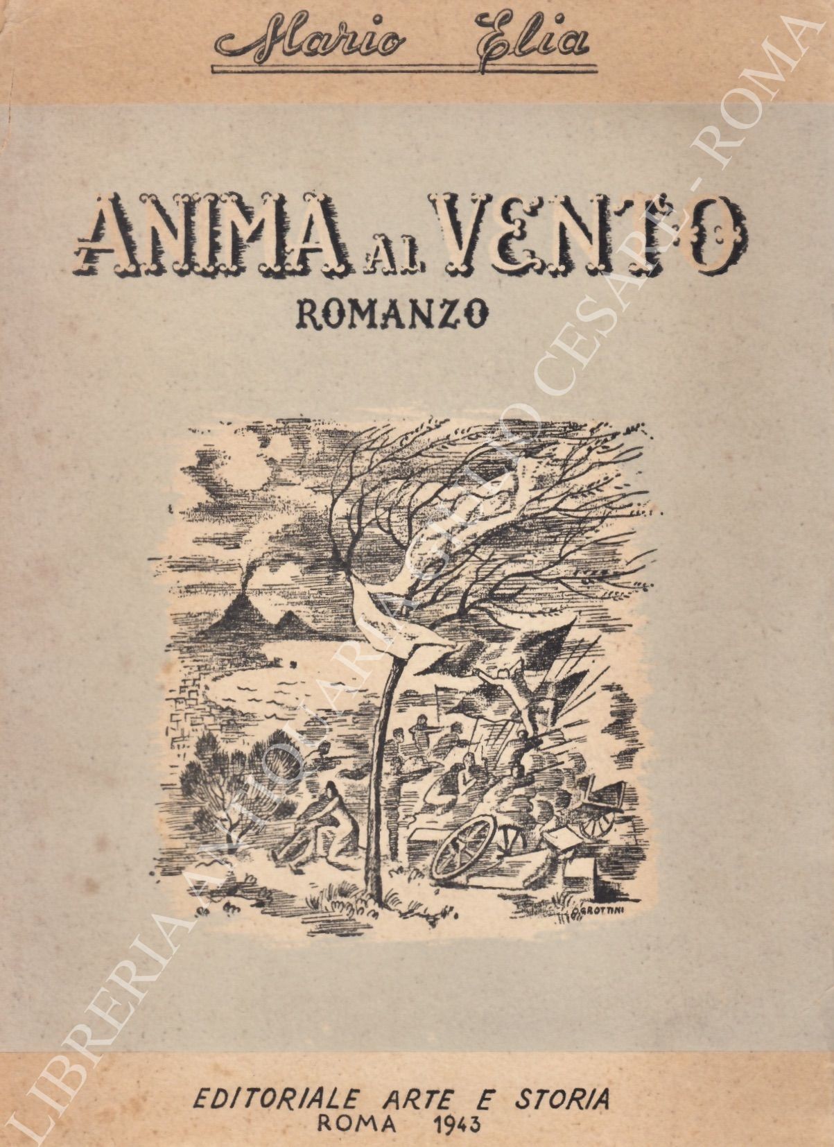 Anima al vento