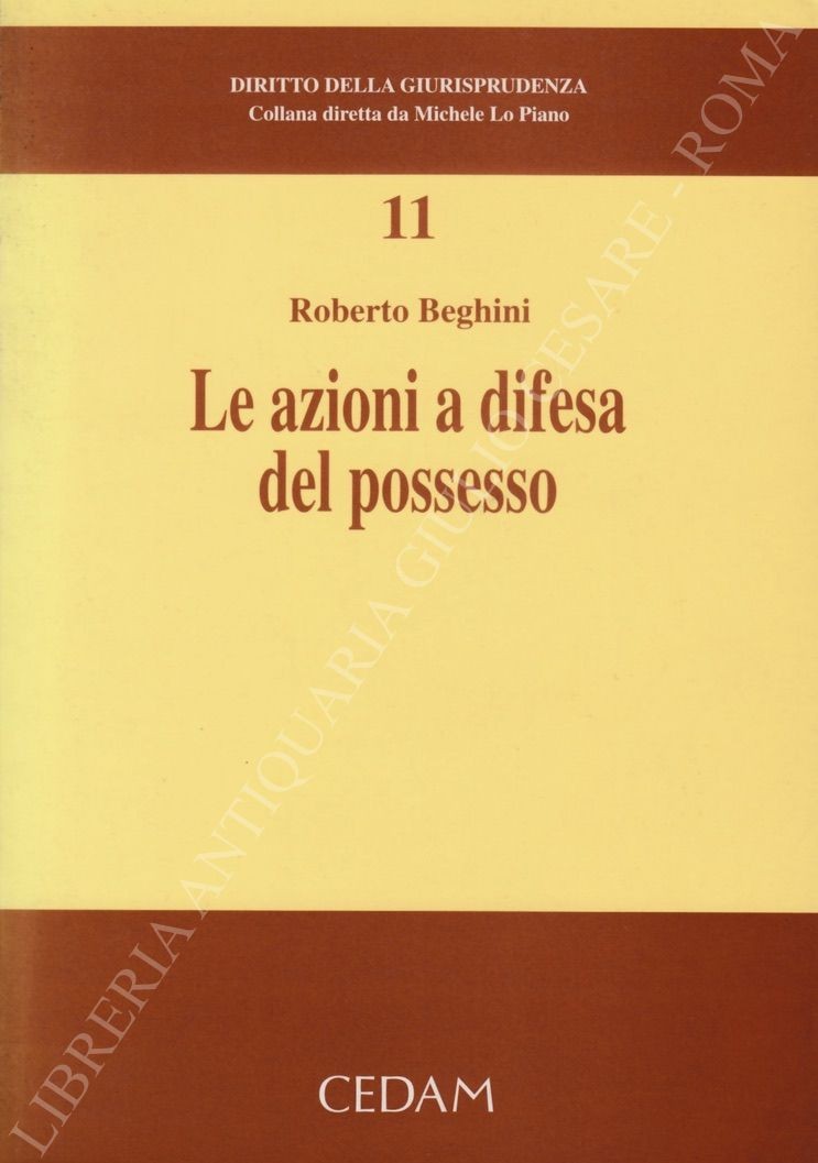 Le azioni a difesa del possesso