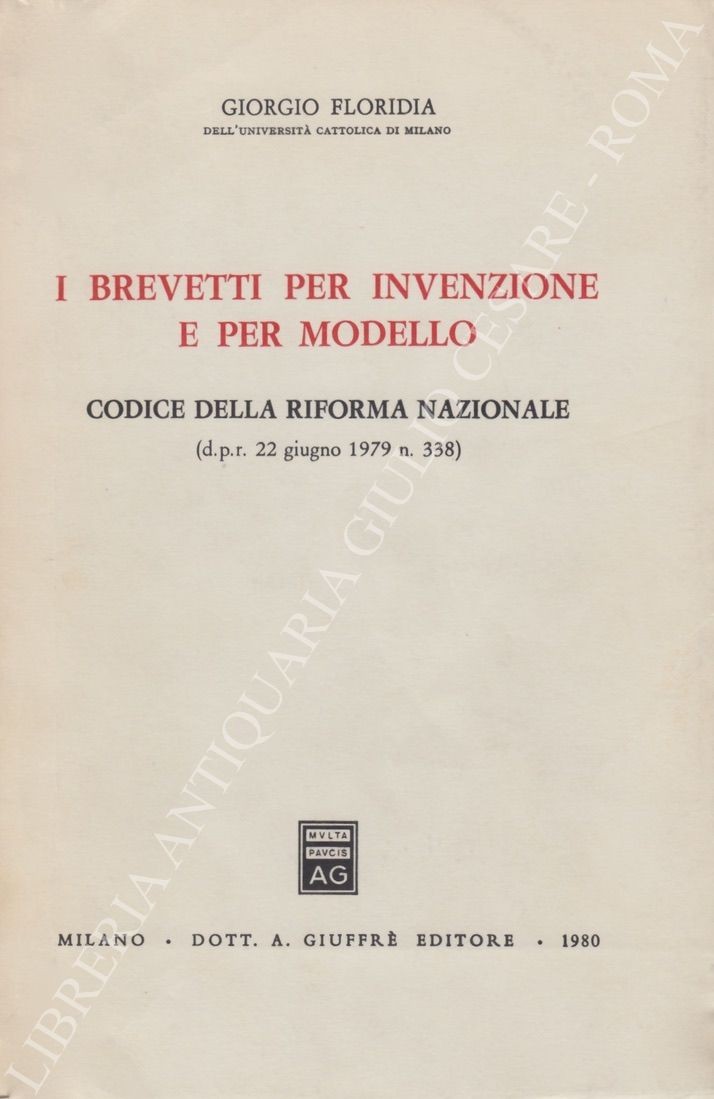I brevetti per invenzione e per modello