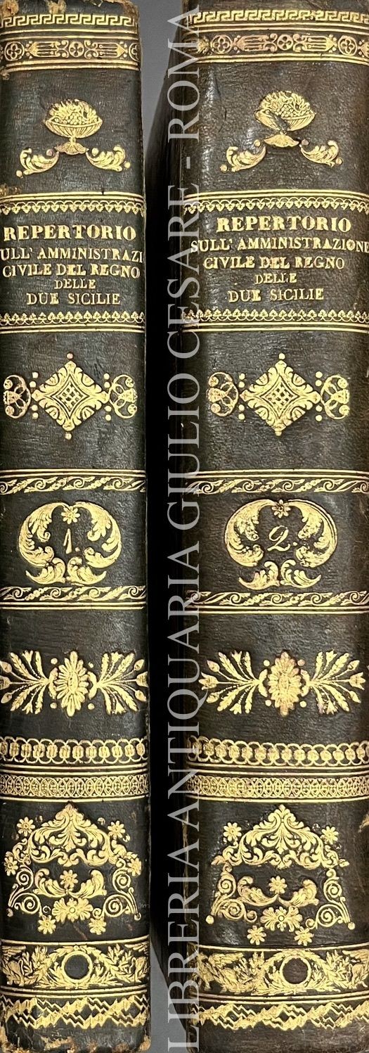 Repertorio amministrativo o sia collezione di leggi