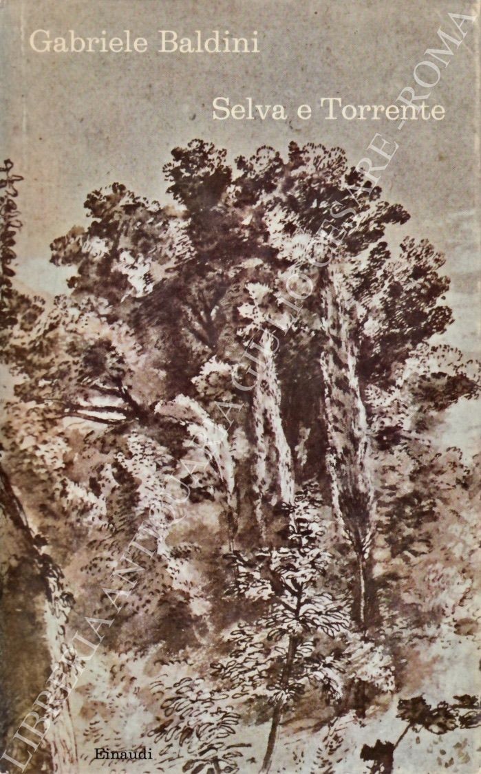 Selva e Torrente