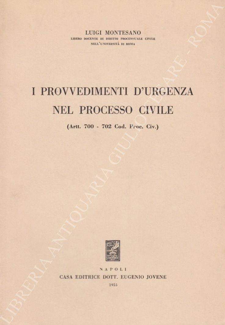 I provvedimenti d'urgenza nel processo civile