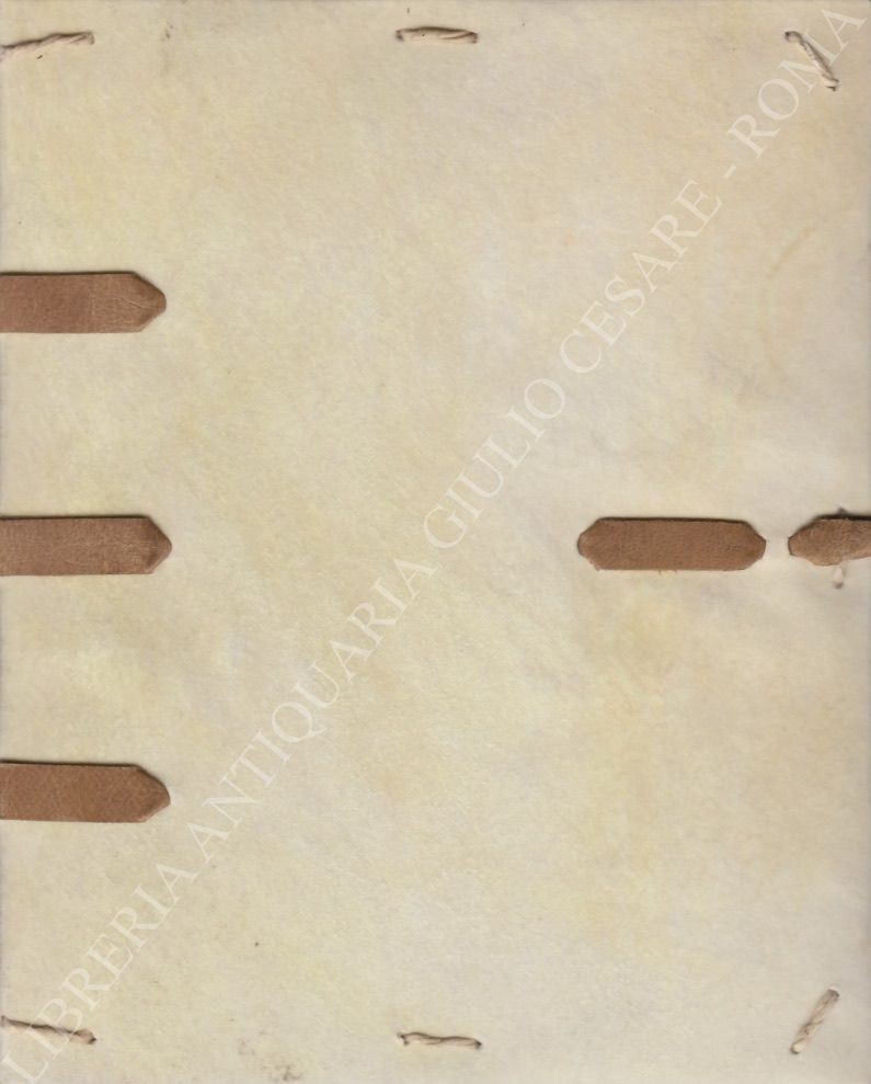 Nomina et virtutes balneorum