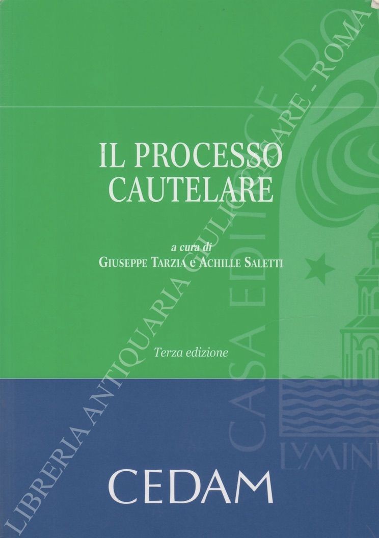 Il processo cautelare