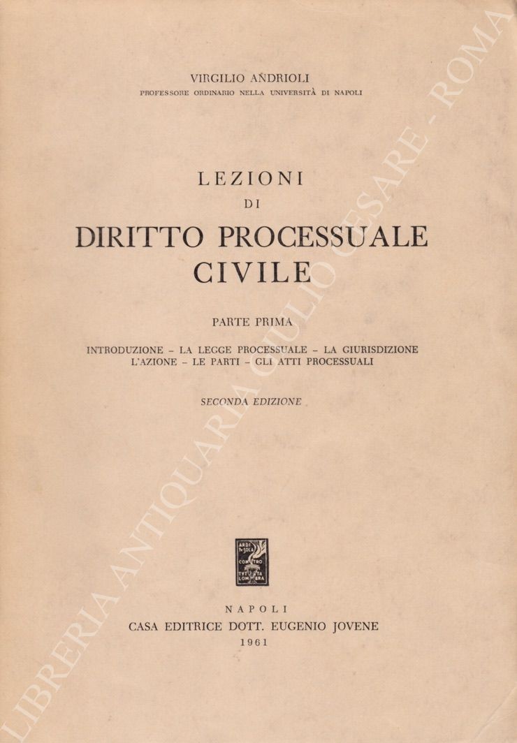 Lezioni di diritto processuale civile