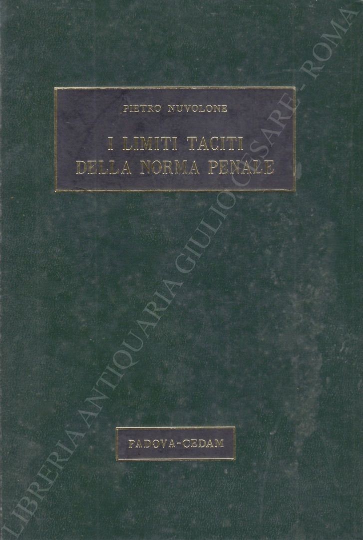 I limiti taciti della norma penale